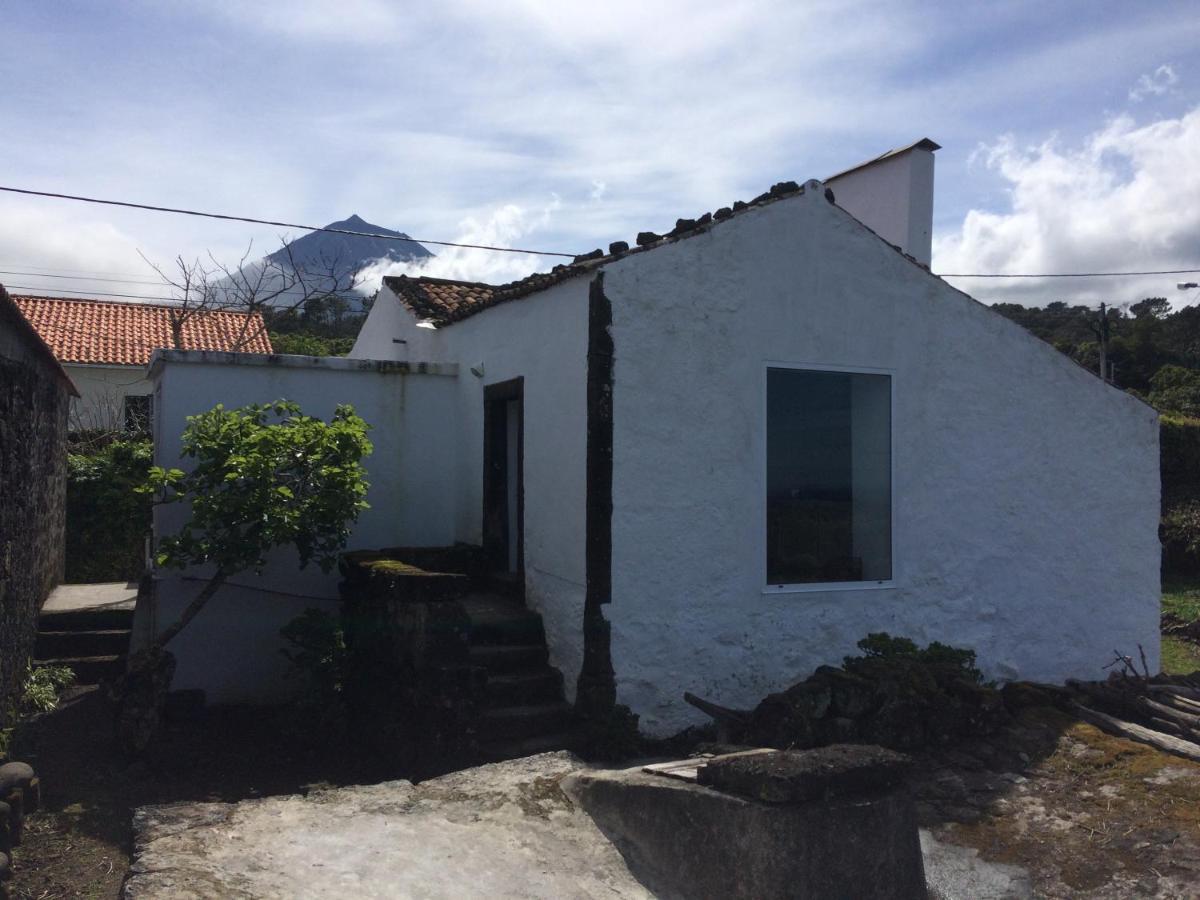 Villa Casa Do Castanheiro Santo Antonio  Exterior foto