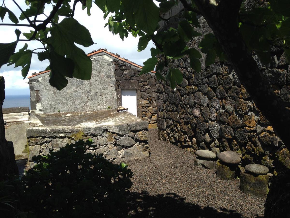 Villa Casa Do Castanheiro Santo Antonio  Exterior foto